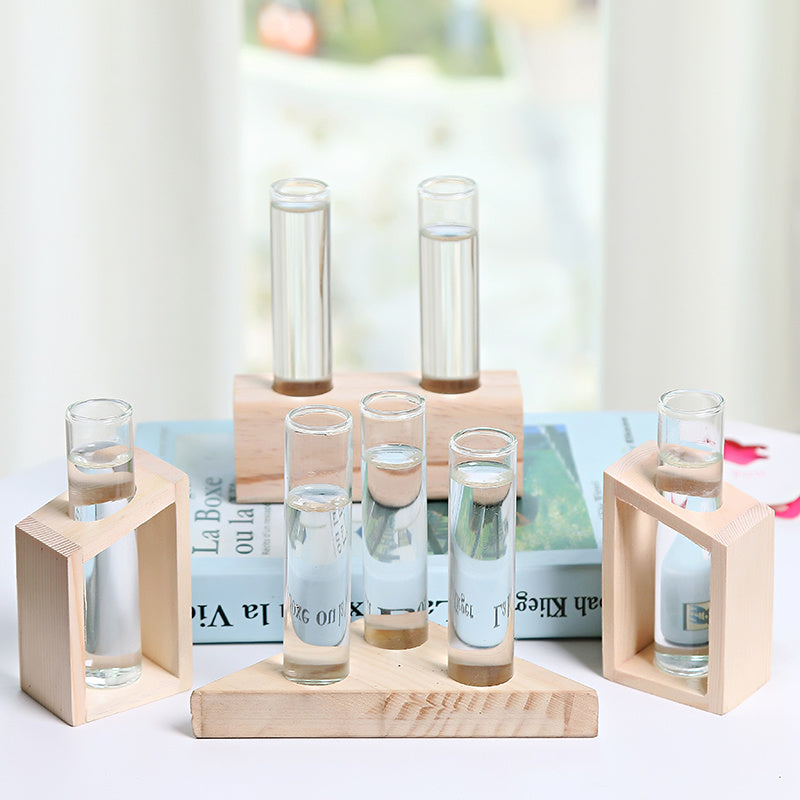 Glass Hydroponic Vase | Indoor Small Vase | Elegant Home Decor
