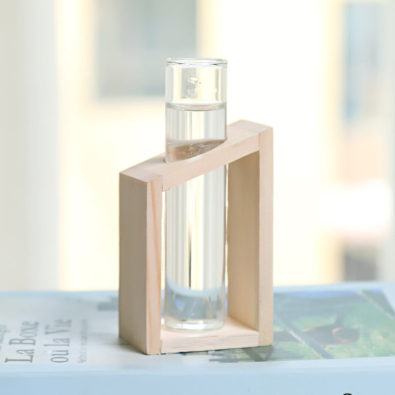 Glass Hydroponic Vase | Indoor Small Vase | Elegant Home Decor