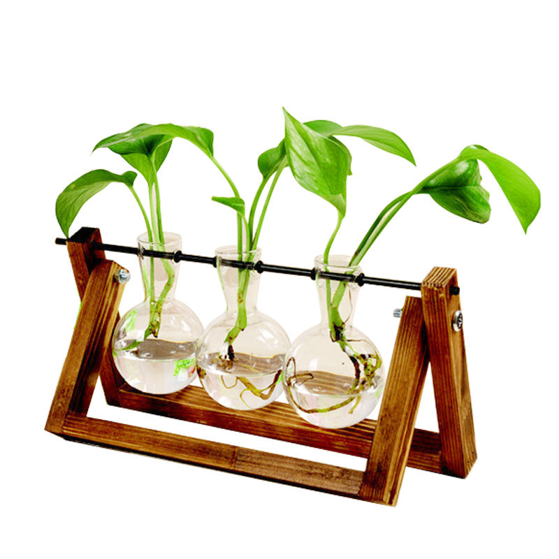 Wooden Stand Hydroponic Glass Vase