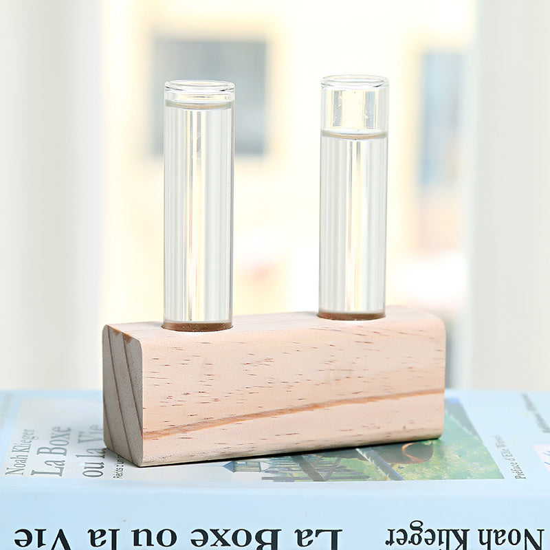 Glass Hydroponic Vase | Indoor Small Vase | Elegant Home Decor