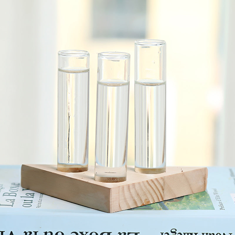Glass Hydroponic Vase | Indoor Small Vase | Elegant Home Decor