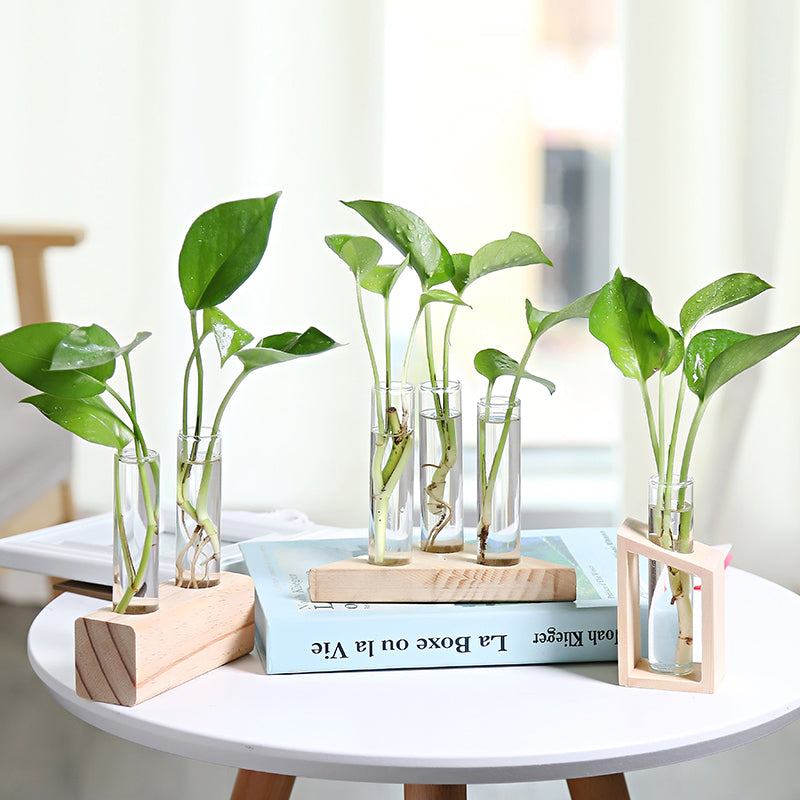 Modern Decorative Vases for Your Home