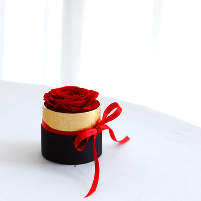 Eternal Preserved Roses in Gift Box - Real Romantic Roses for Valentine's Day, Anniversaries, and Special Occasions