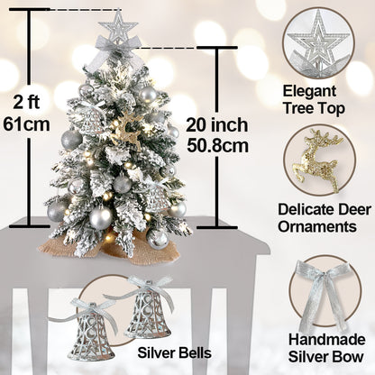 2ft Mini Christmas Tree with Lights - Flocked Snow Artificial Tabletop Xmas Tree for Home & Office Decor