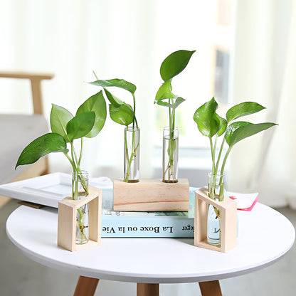 Glass Hydroponic Vase | Indoor Small Vase | Elegant Home Decor