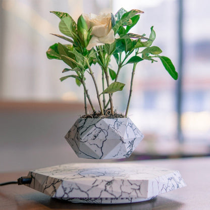 Levitating Plant Pot - Floating Magnetic Bonsai Planter for Home & Office | Modern Decor, Unique Gift