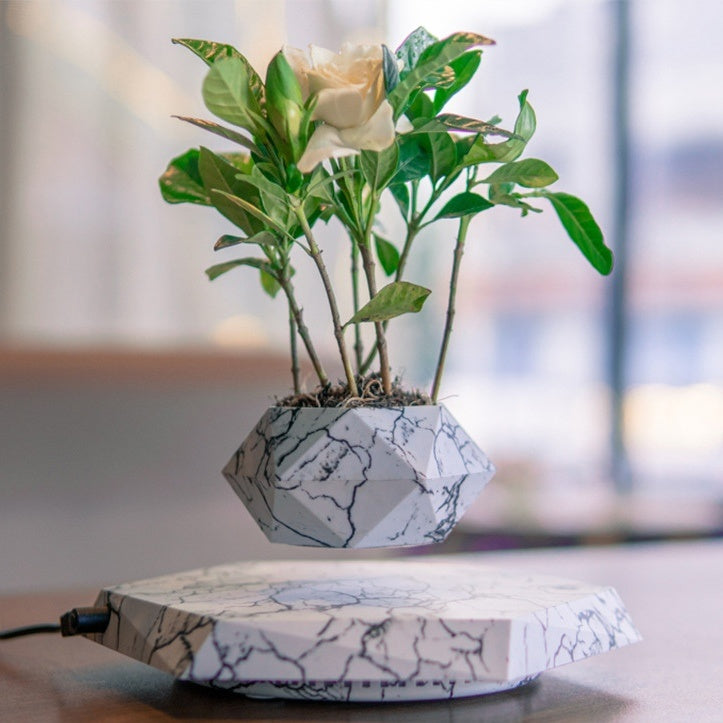 Levitating Plant Pot - Floating Magnetic Bonsai Planter for Home & Office | Modern Decor, Unique Gift