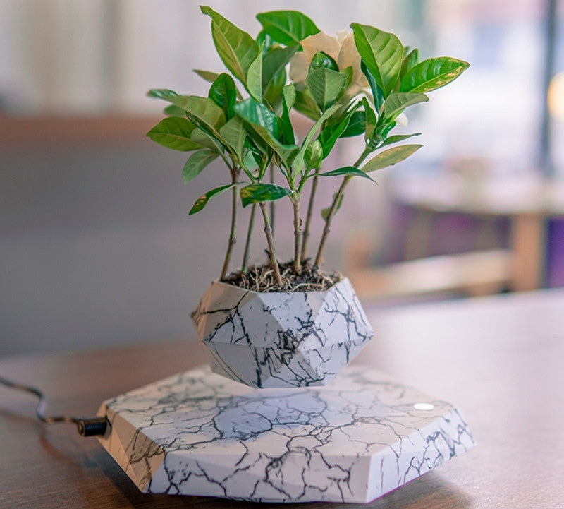 Levitating Plant Pot - Floating Magnetic Bonsai Planter for Home & Office | Modern Decor, Unique Gift