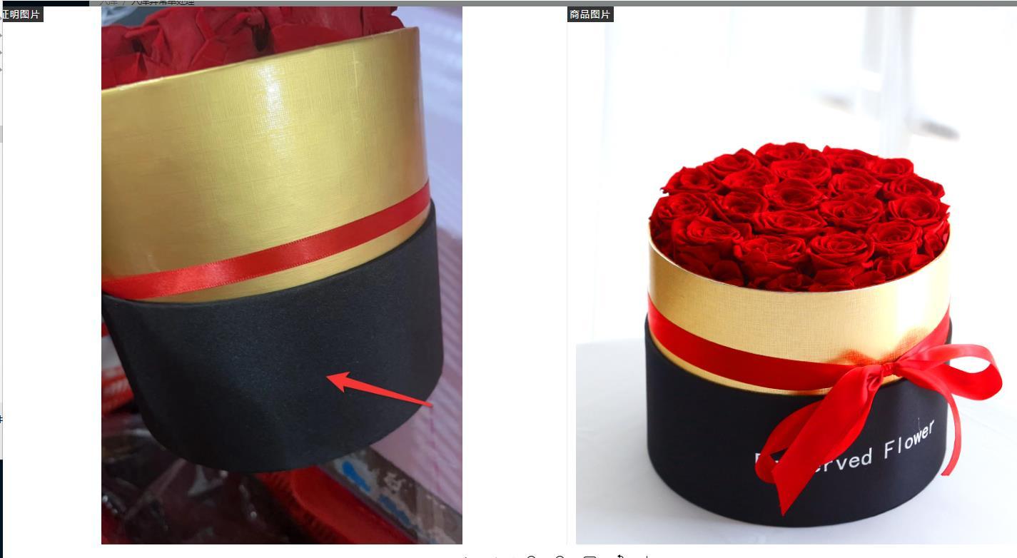Eternal Preserved Roses in Gift Box - Real Romantic Roses for Valentine's Day, Anniversaries, and Special Occasions