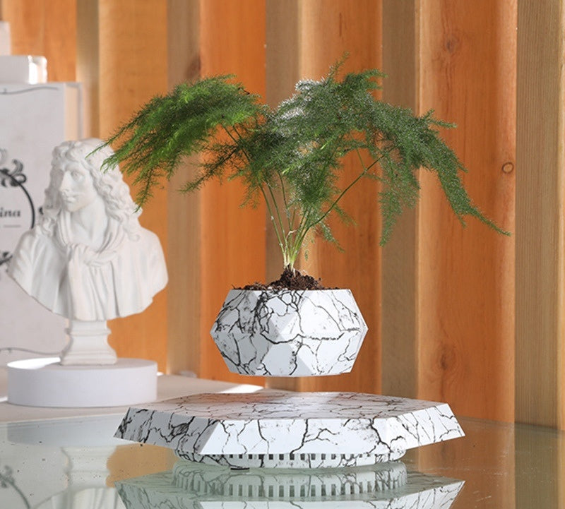 Levitating Plant Pot - Floating Magnetic Bonsai Planter for Home & Office | Modern Decor, Unique Gift
