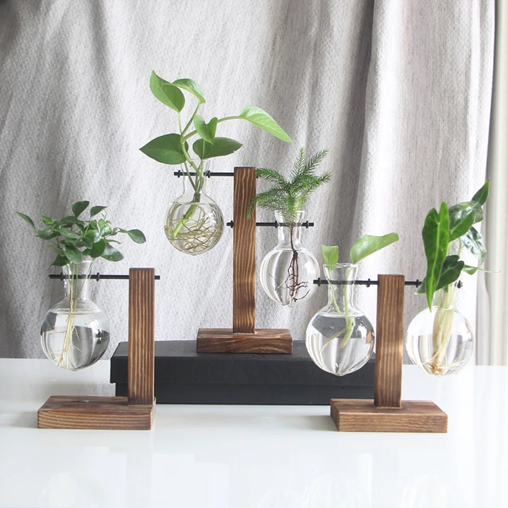 Creative Glass Desktop Planter - Bulb Vase with Wooden Stand, Hydroponic Plant Container