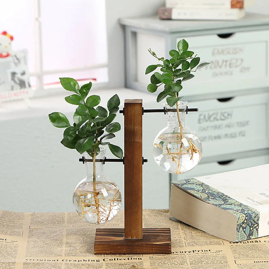 Vintage Terrarium Hydroponic Plant Vase with Wooden Frame