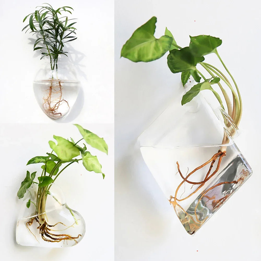 Fashion Wall Hanging Glass Flower Vase | Elegant Home Decor