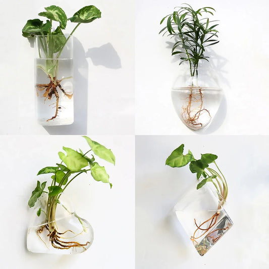 Fashion Wall Hanging Glass Flower Vase | Elegant Home Decor