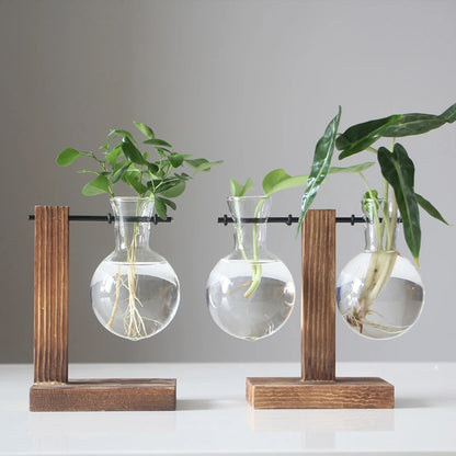 Creative Glass Desktop Planter - Bulb Vase with Wooden Stand, Hydroponic Plant Container