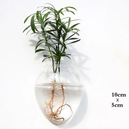 Fashion Wall Hanging Glass Flower Vase | Elegant Home Decor