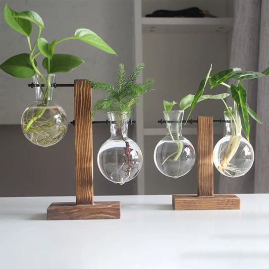 Creative Glass Desktop Planter - Bulb Vase with Wooden Stand, Hydroponic Plant Container